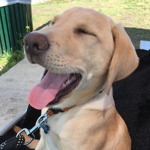 Meet your Seller @whateverfloats Poshmark/Depop